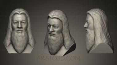 Busts and bas-reliefs of famous people (BUSTC_0160) 3D model for CNC machine